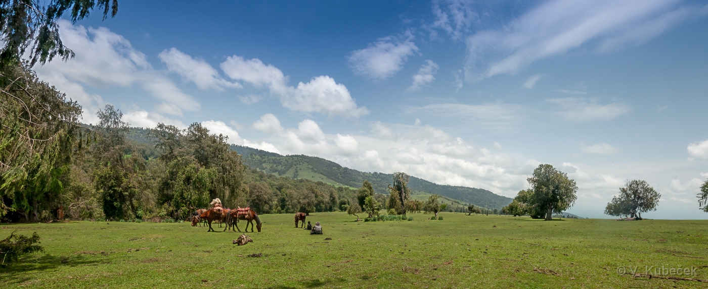 [Group 12]-DSC 6376 DSC 6377-2 images